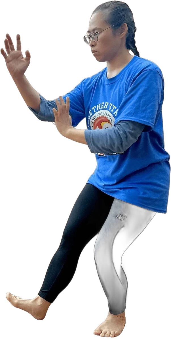 Tai Chi (13+) class